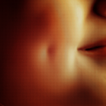    bntpal_1427624973_16