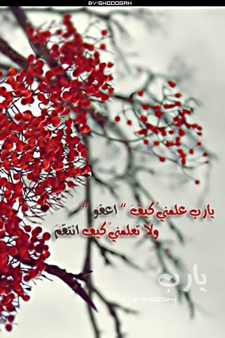 bntpal_1427626123_52