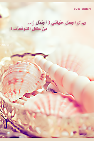 bntpal_1427626125_36
