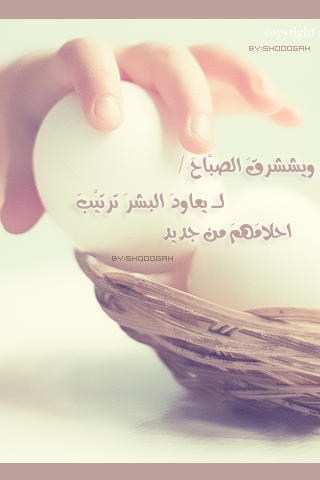 bntpal_1427626128_11