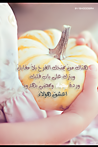 bntpal_1427626130_81