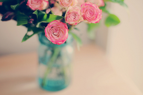 bntpal_1427640547_58