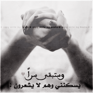 "" bntpal_1427707407_88