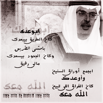 "" bntpal_1427707407_97