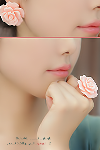 bntpal_1427707440_94