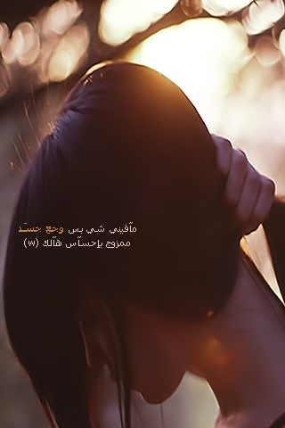 bntpal_1427707442_13