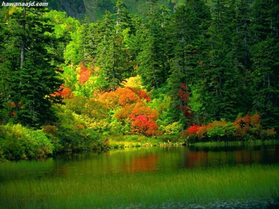  bntpal_1427760387_69