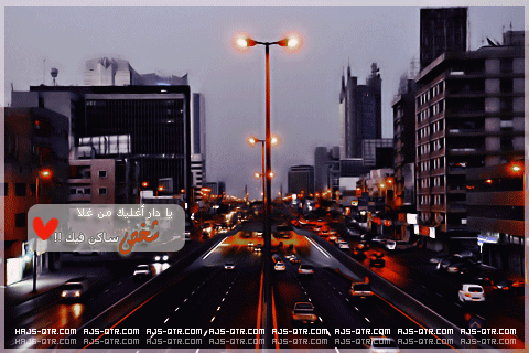  bntpal_1427821732_97