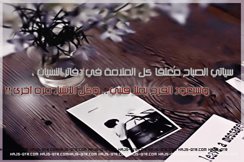  bntpal_1427821742_73
