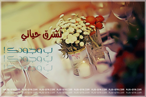  bntpal_1427821748_99