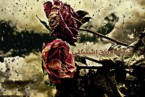 bntpal_1427821764_30