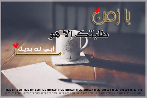 bntpal_1427821766_44
