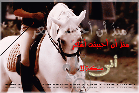  bntpal_1427821780_84
