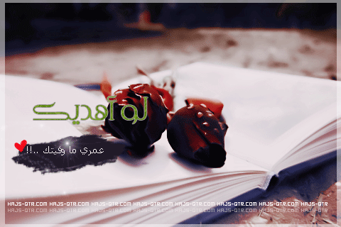  bntpal_1427821815_93