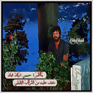    bntpal_1427821849_68