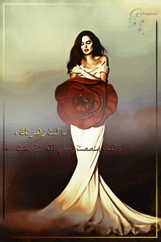 bntpal_1427880800_19