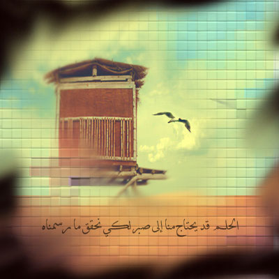 bntpal_1427890814_86