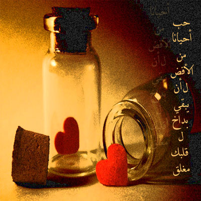 bntpal_1427890815_12