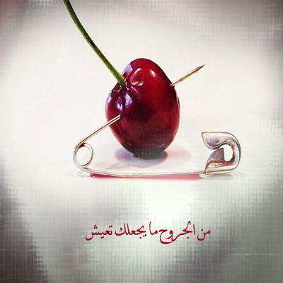 bntpal_1427890815_89