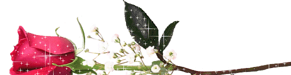 bntpal_1427900520_80