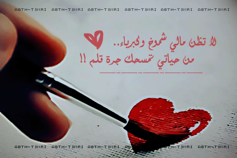 bntpal_1427901191_83