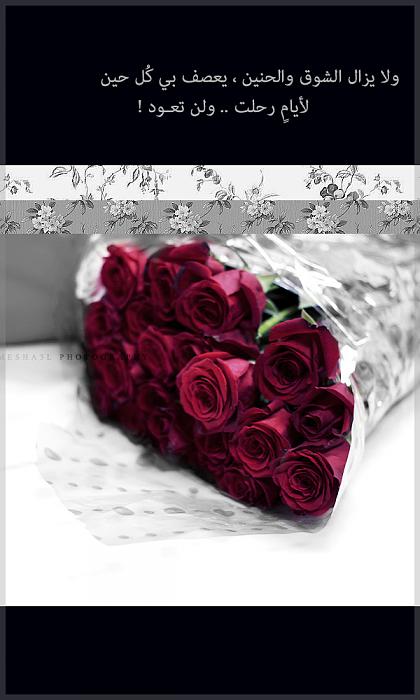 bntpal_1427901735_90