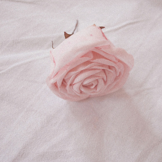 bntpal_1427920161_89