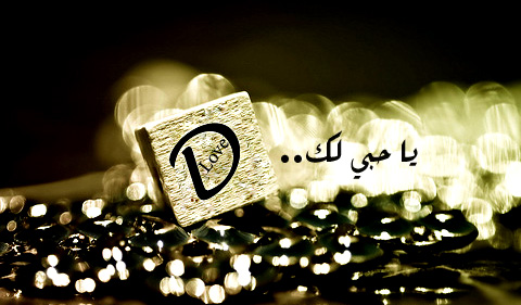 bntpal_1427949580_84