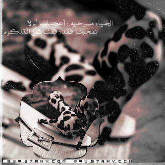 bntpal_1427964211_36