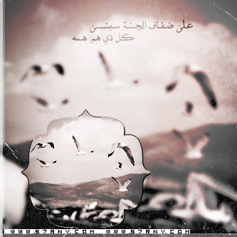 bntpal_1427964212_95