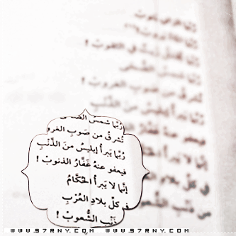 bntpal_1427964215_34