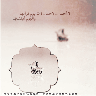 bntpal_1427964217_80