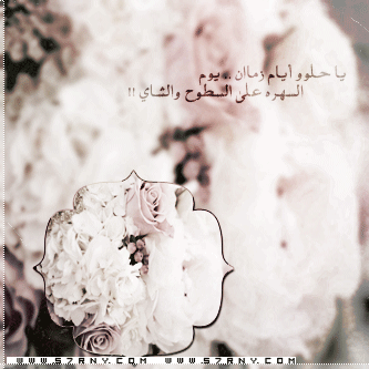 bntpal_1427964227_60