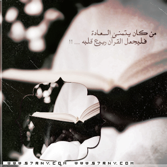 bntpal_1427964228_69