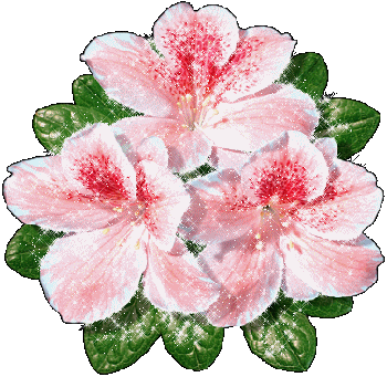 bntpal_1428047776_58