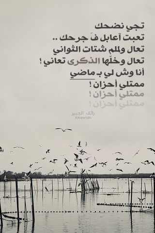 2015 2016 bntpal_1428066141_31