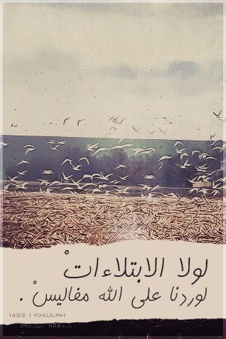 2015 2016 bntpal_1428066148_84