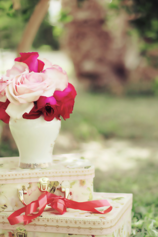 2015 2016 bntpal_1428066196_96