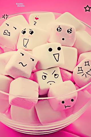 2015 2016 bntpal_1428066201_91