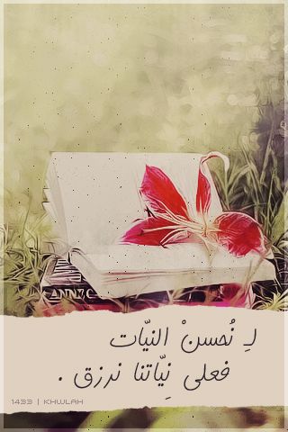 2015 2016 bntpal_1428066210_12