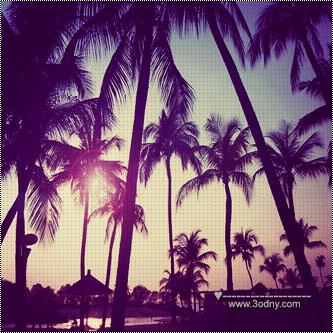 ♥ bntpal_1428144283_59