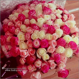 ♥ bntpal_1428144288_16