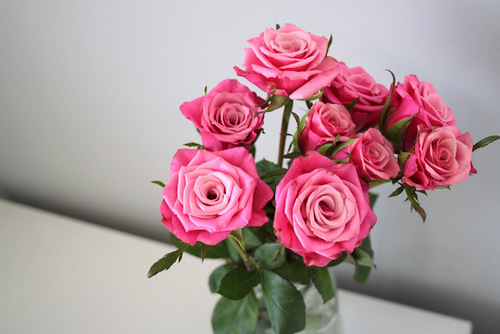 bntpal_1428195869_89