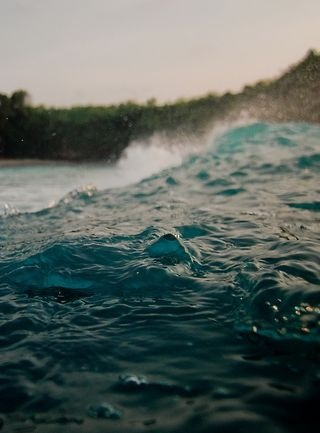 bntpal_1428195870_72