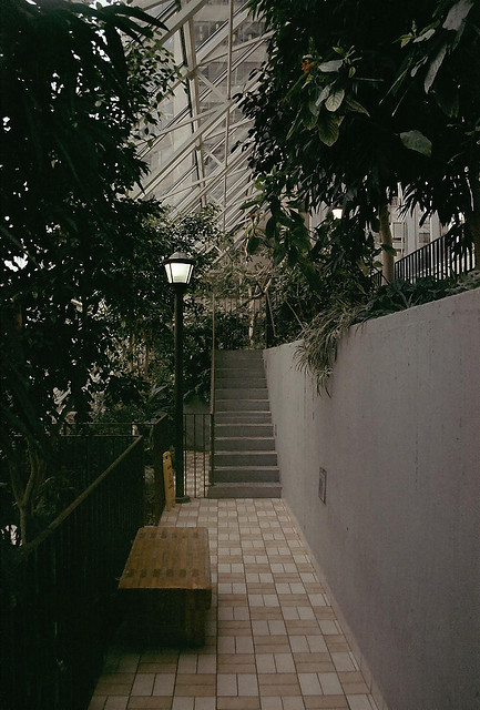 bntpal_1428195873_42