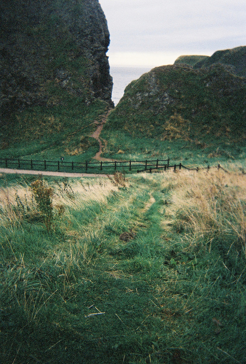 bntpal_1428195873_46