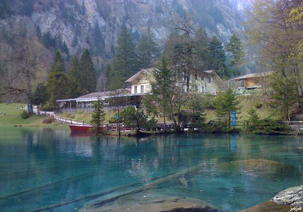  bntpal_1428197240_89