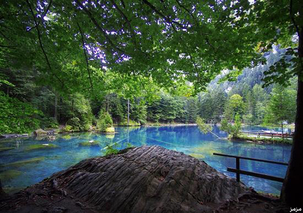 bntpal_1428197241_73