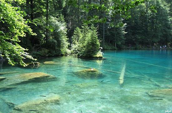  bntpal_1428197243_13