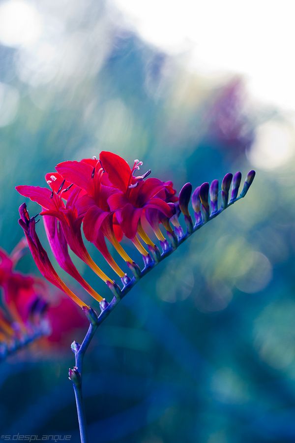  bntpal_1428197855_47